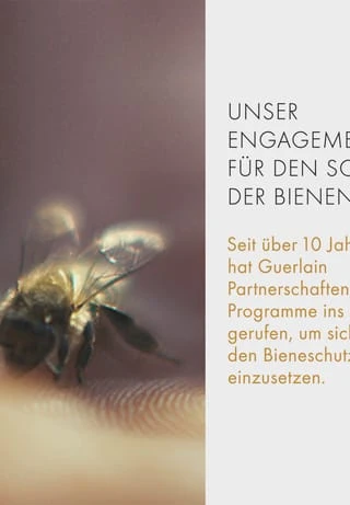 GUERLAIN Abeille Royale 15ml 9 GUERLAIN Abeille Royale 15ml – Bild 7