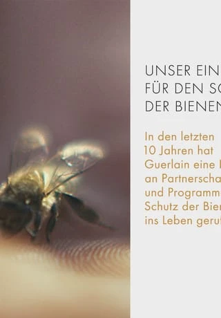 GUERLAIN Abeille Royale 150.0 ML 10 GUERLAIN Abeille Royale 150.0 ML – Bild 8