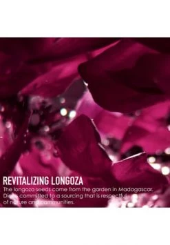 DIOR TOTALE AGE-DEFYING SKINCARE, ANTI-AGING HAUTPFLEGE SET -GESICHTSPFLEGE Verkäufe unnamed file 24