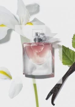 LANCÔME LA VIE EST BELLE 200.0 ML 8 LANCÔME LA VIE EST BELLE 200.0 ML -GESICHTSPFLEGE Verkäufe unnamed file 314