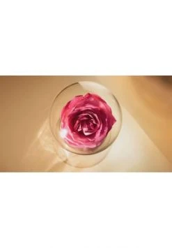 LANCÔME ABSOLUE 60.0 ML 17 LANCÔME ABSOLUE 60.0 ML -GESICHTSPFLEGE Verkäufe unnamed file 327